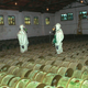 Russian troops at a chemical weapons storage facility in Gorny, 100 miles south of Saratov, Russia, in May 2000.